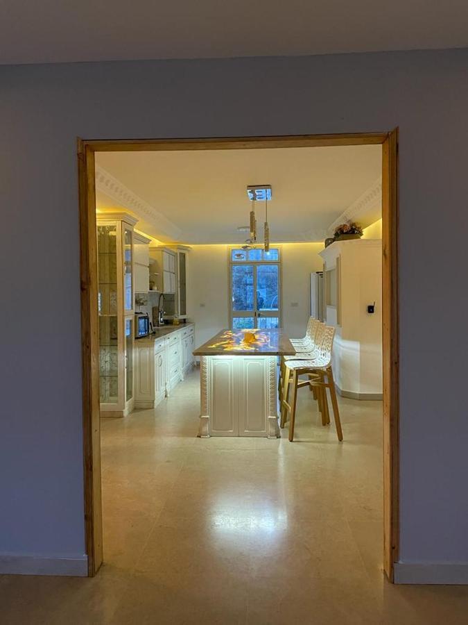 Diamond Luxury Apartment - Hajfa Zewnętrze zdjęcie