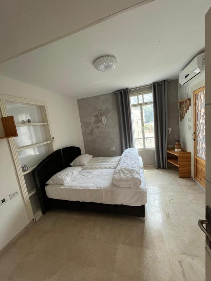 Diamond Luxury Apartment - Hajfa Zewnętrze zdjęcie